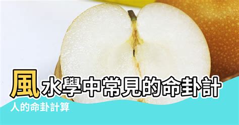 九離命男|【風水年命測算】風水學中常見的命卦計算方法 